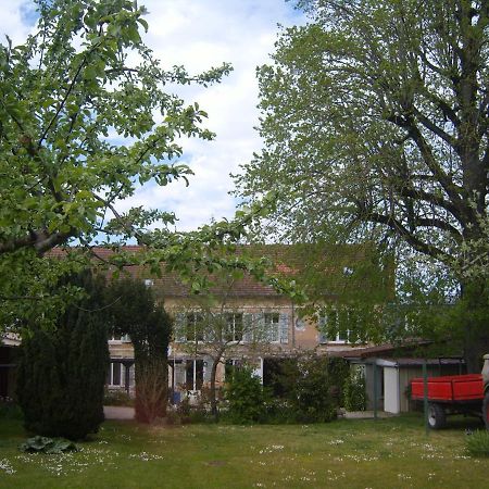 Gite Du Vieux Tilleul Fère-en-Tardenois Exteriör bild