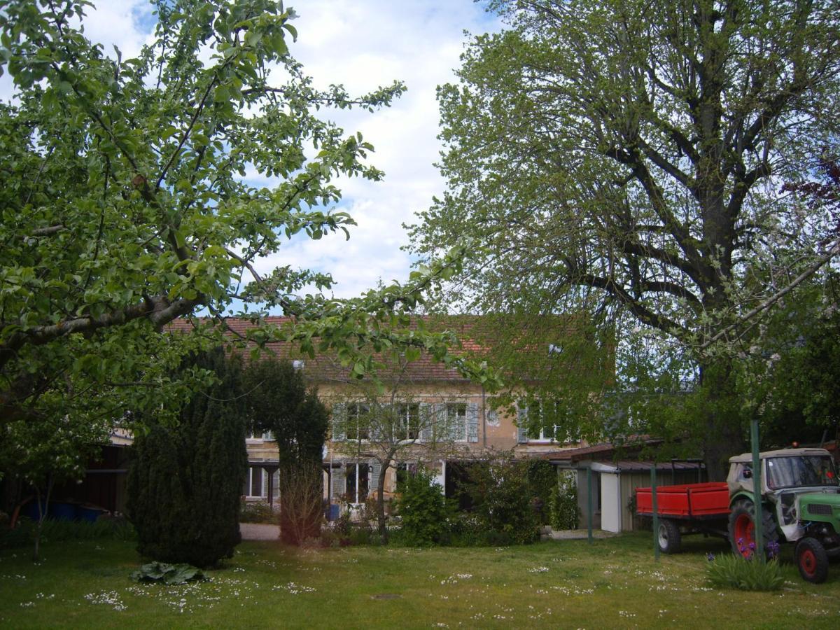 Gite Du Vieux Tilleul Fère-en-Tardenois Exteriör bild